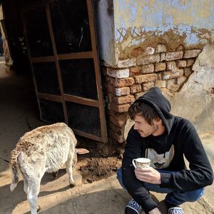 Meet your Posher, Joey